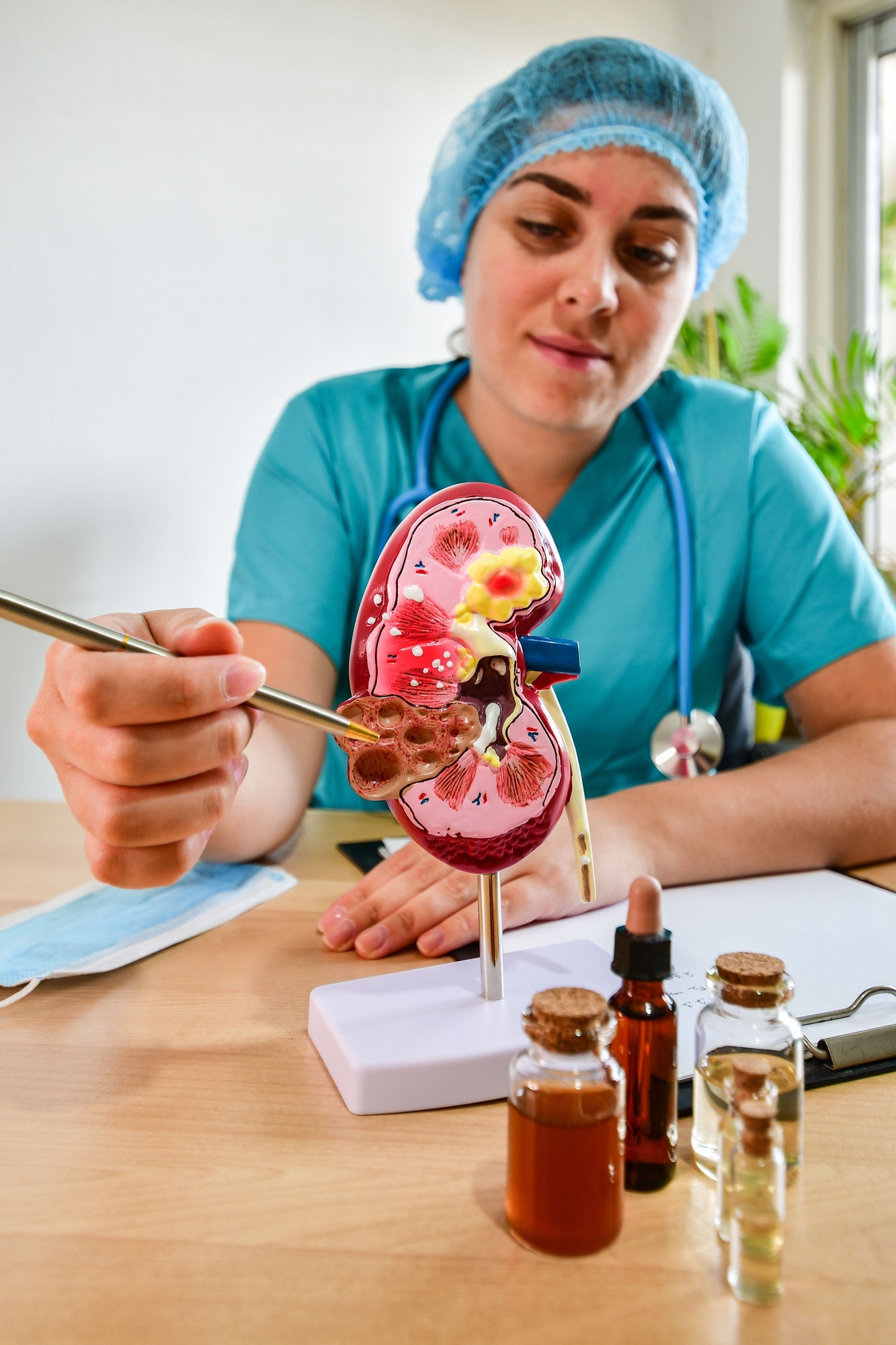 Closeup of a Doctor analyzing of patient kidney health using a kidney anatomical model