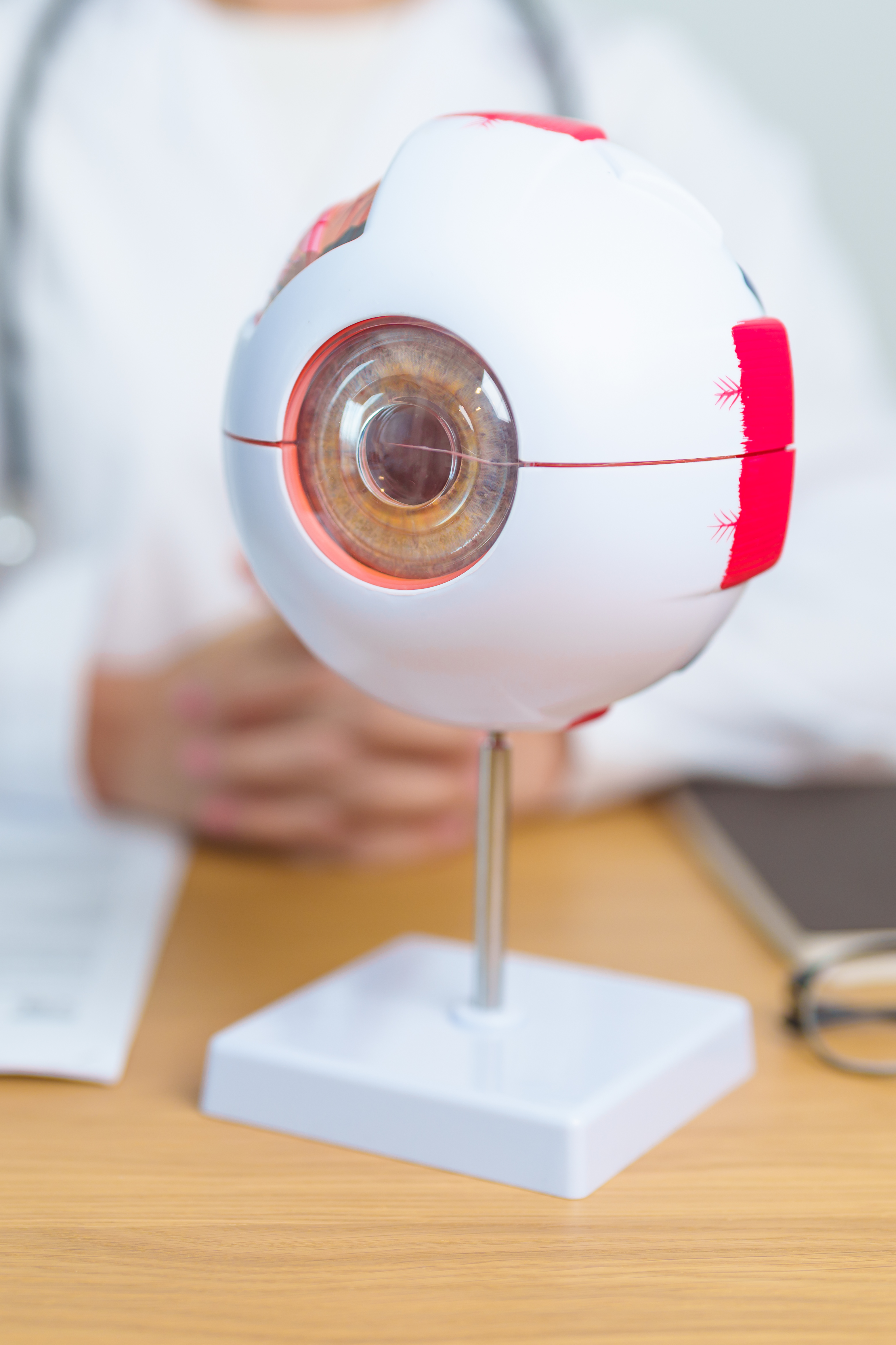 Doctor with human Eye anatomy model with magnifying glass.