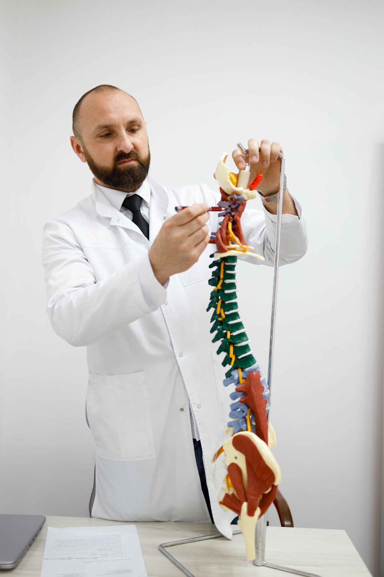 Male doctor shows the spine model